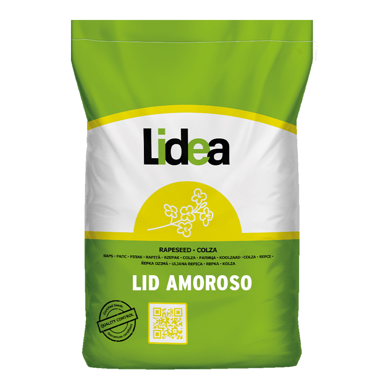 Lid Amoroso