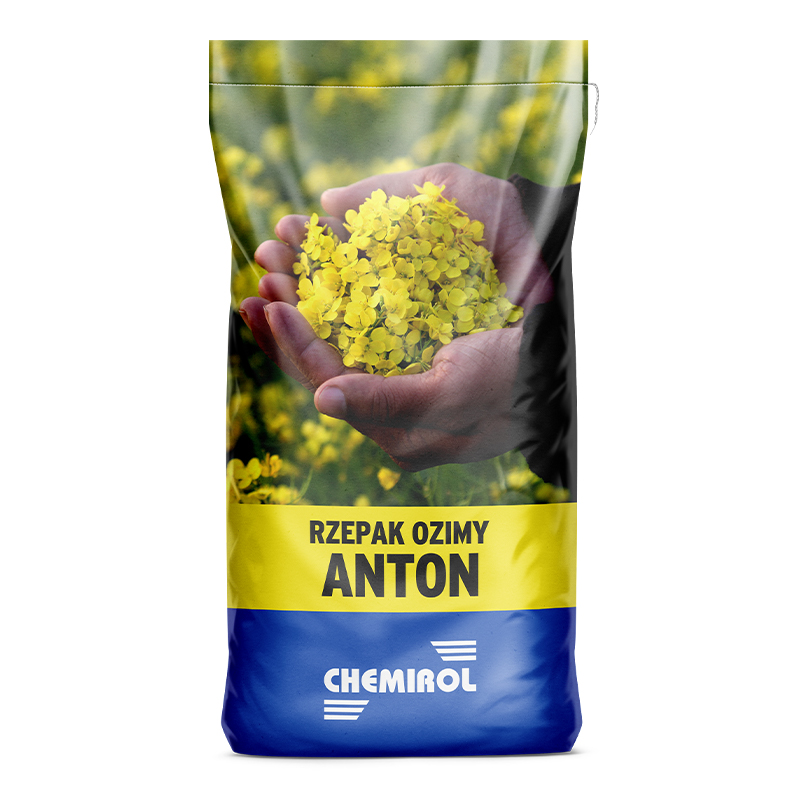 Anton