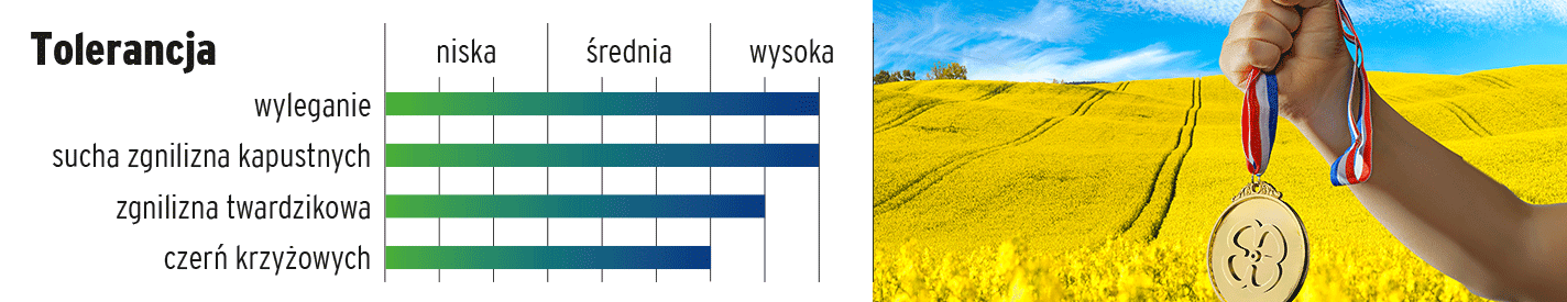 LG Aviron tolerancja
