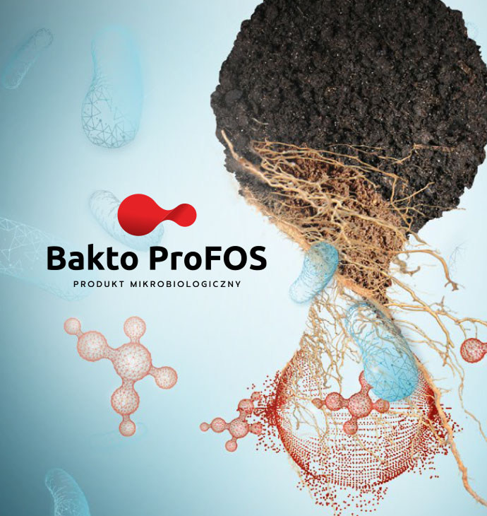bakto profos