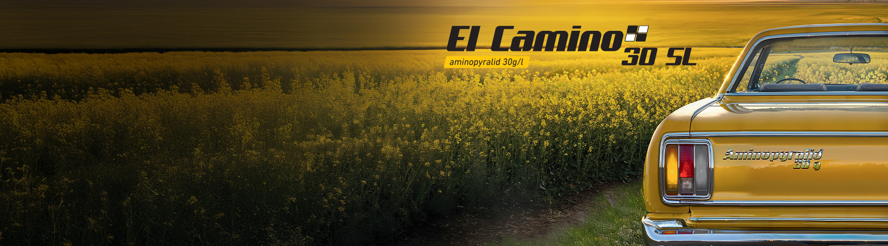 EL CAMINO 30 SL