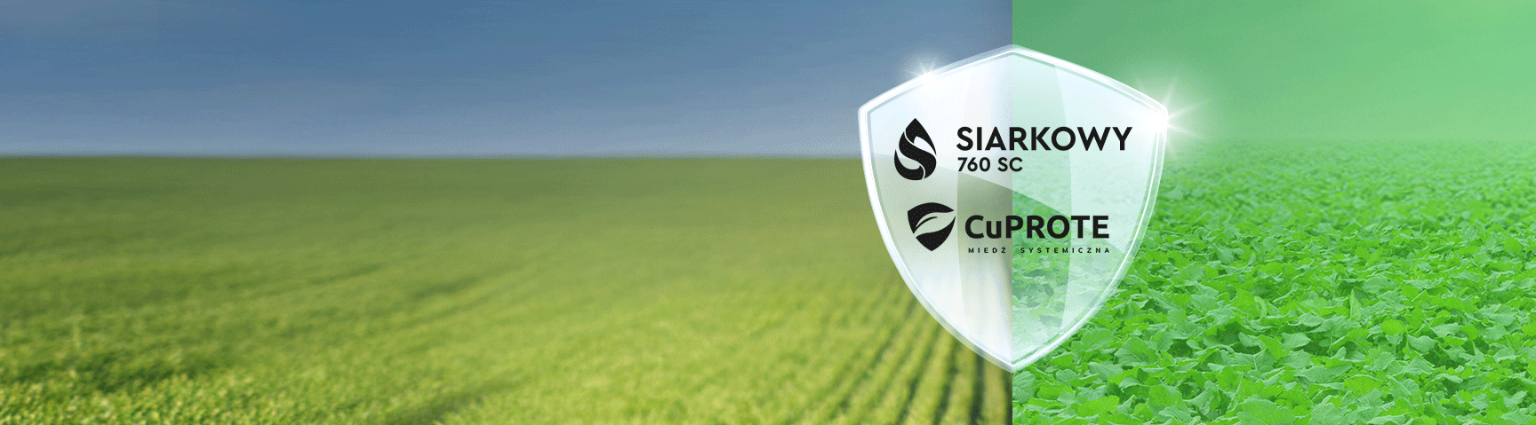 Wiosną musisz MIEDŹ SIARKĘ