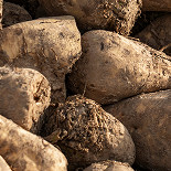 chemirol miedź na buraki i ziemniaki zastosowanie