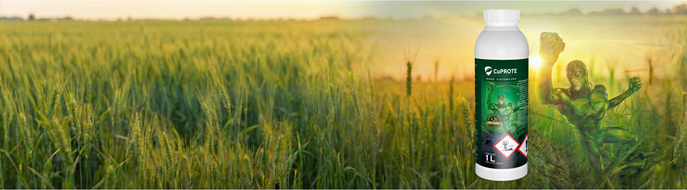 Głosuj na CuPROTE w plebiscycie Izydory 2026!