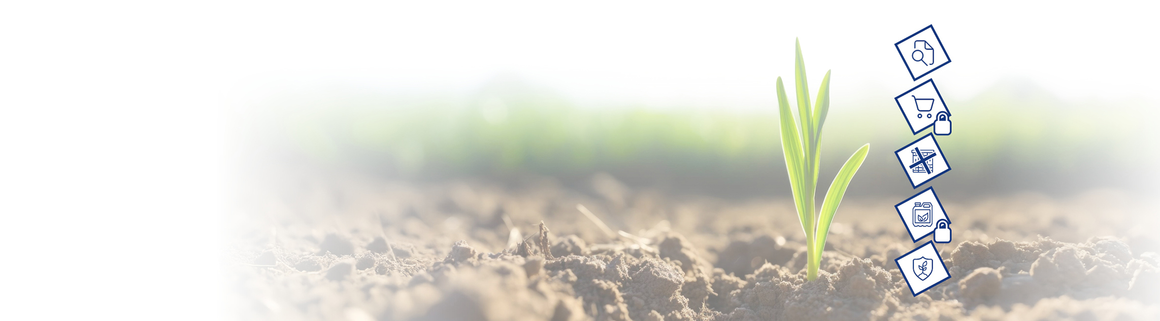 Nadchodzące zmiany w ustawie o ŚOR