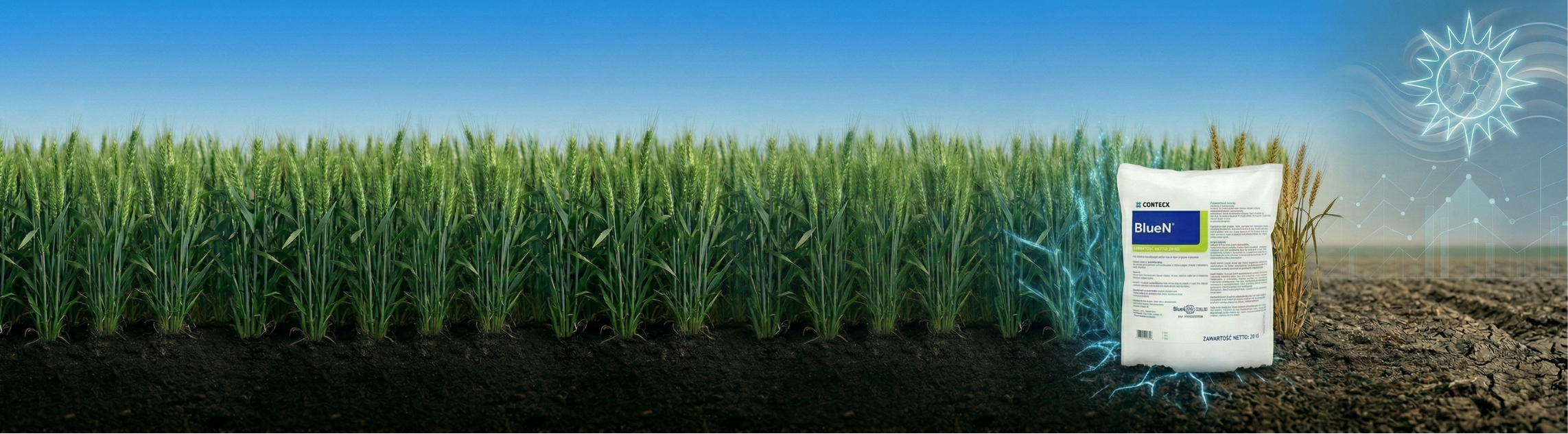 Stabilność azotu w zmiennym świecie