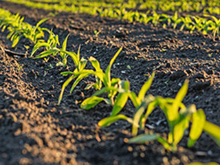 chemirol technologia powschodowa