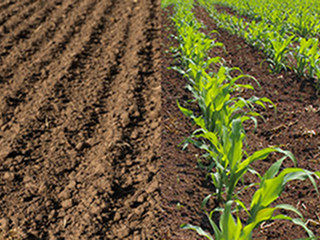 chemirol technologia sekwencyjna