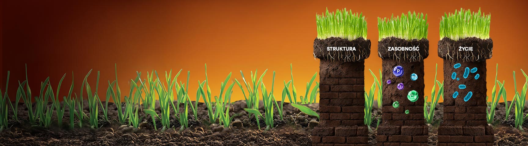 Twoja gleba – Twój fundament sukcesu!