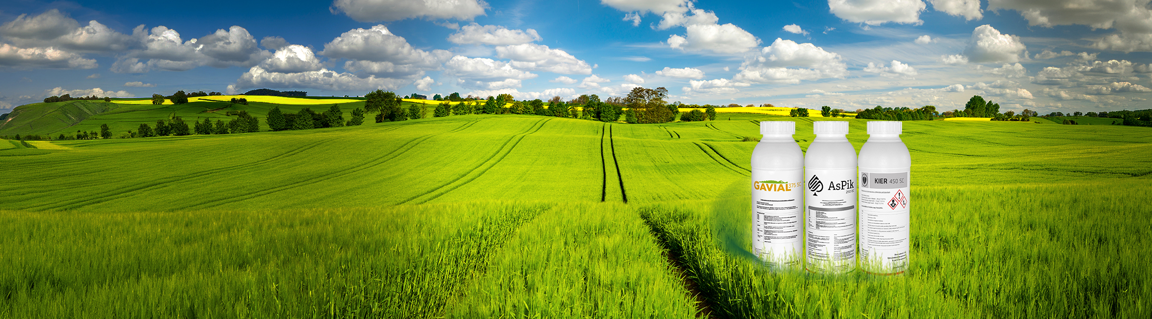 Kompleksowa ochrona fungicydowa zbóż