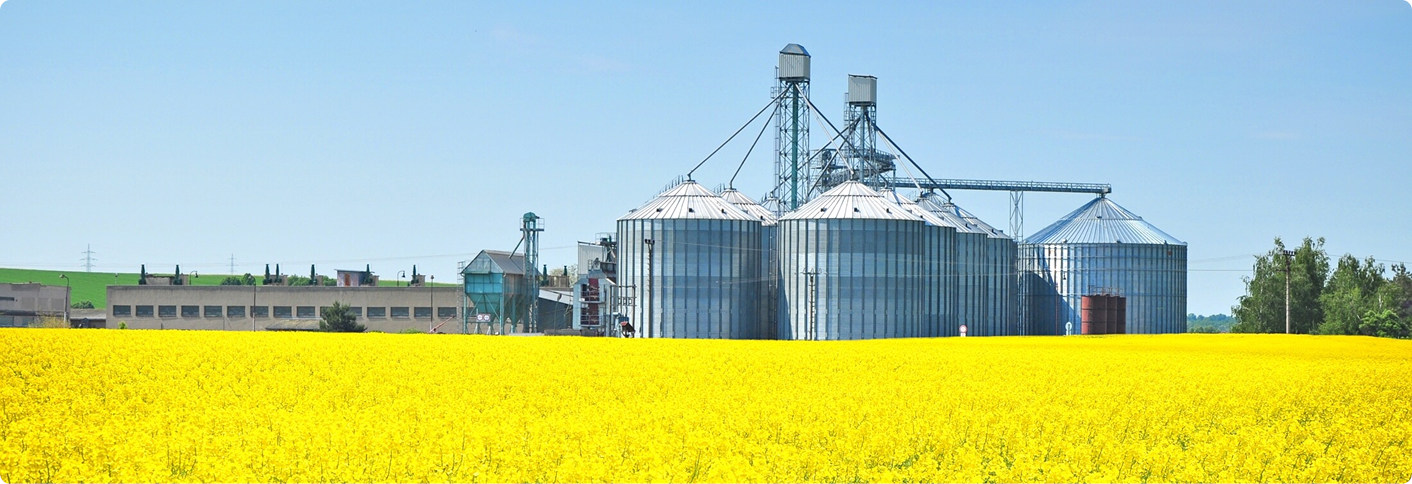 idę po rekord rzepak ozimy silosy