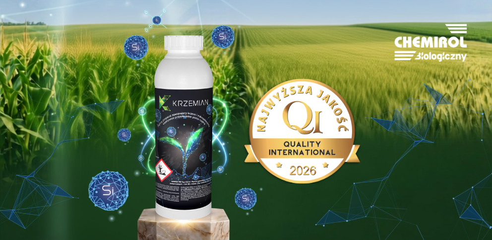 Silicate – Innovation appreciated by experts