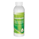 Asystent+