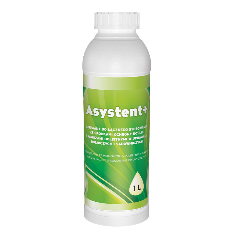 ASYSTENT+