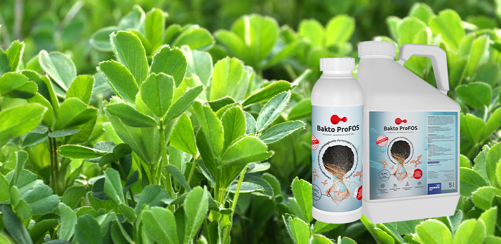 Bakto ProFOS_lucerna