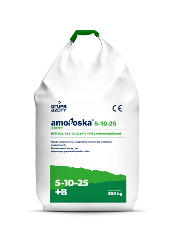 Amofoska® 5-10-25 z borem