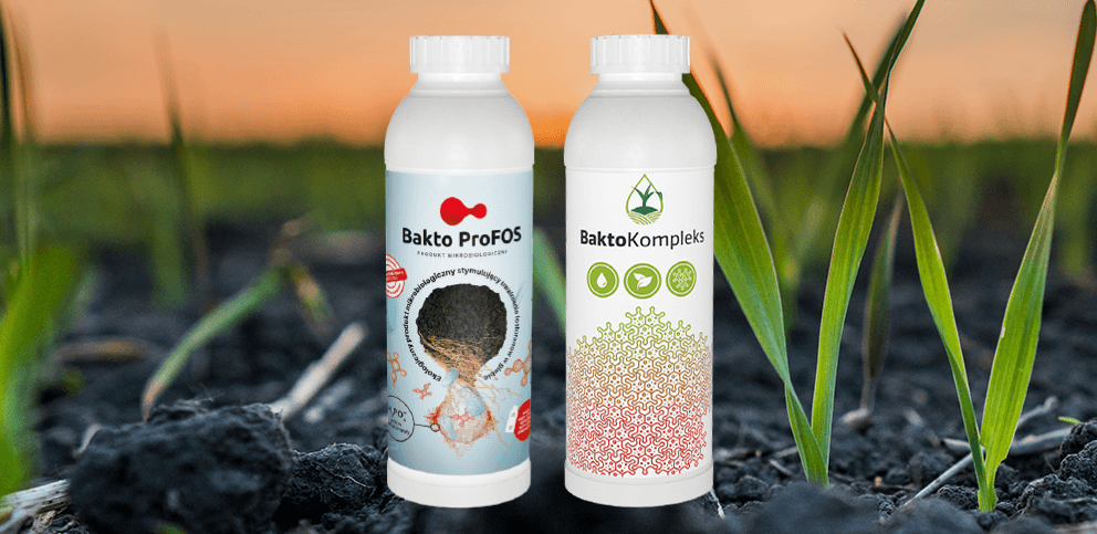bakterie do użyźniania gleby