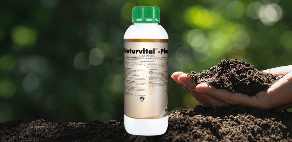 wzbogacanie gleby w próchnicę