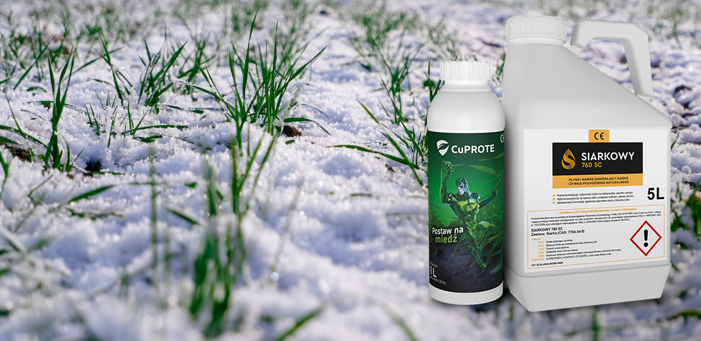 Jesienna ochrona zbóż