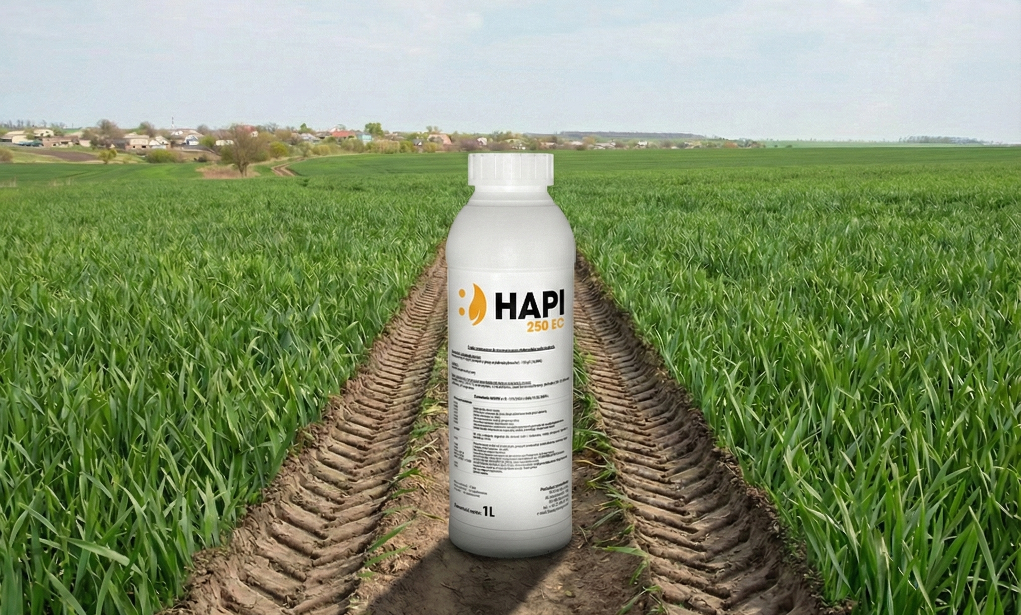 zwalczanie chwastów w zbożach ozimych